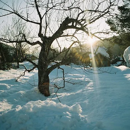 Pranter Daire Sillian