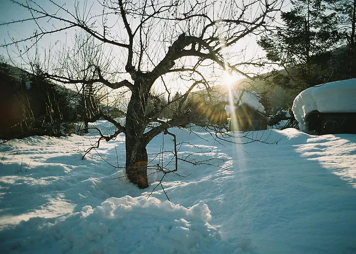 Pranter Apartment Sillian