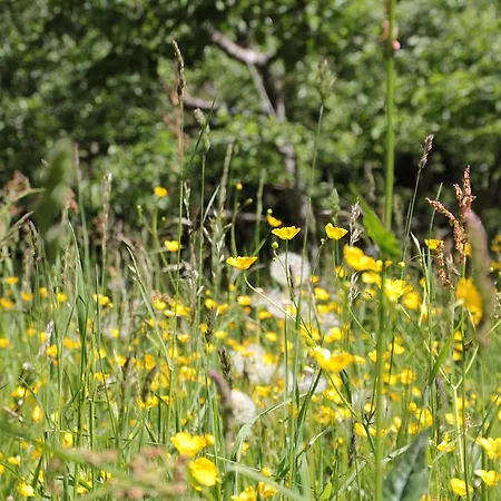 Appartement Pranter *
